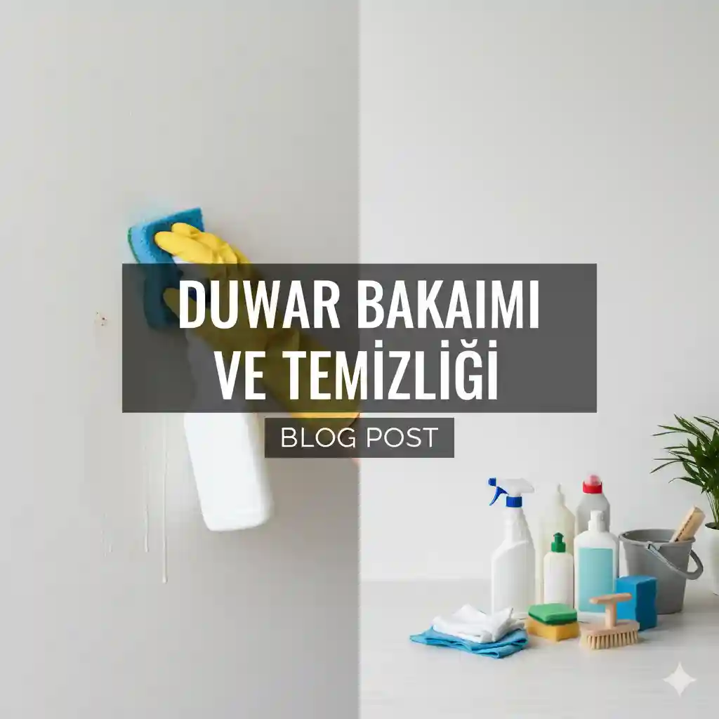 Boyalı Duvarların Bakımı